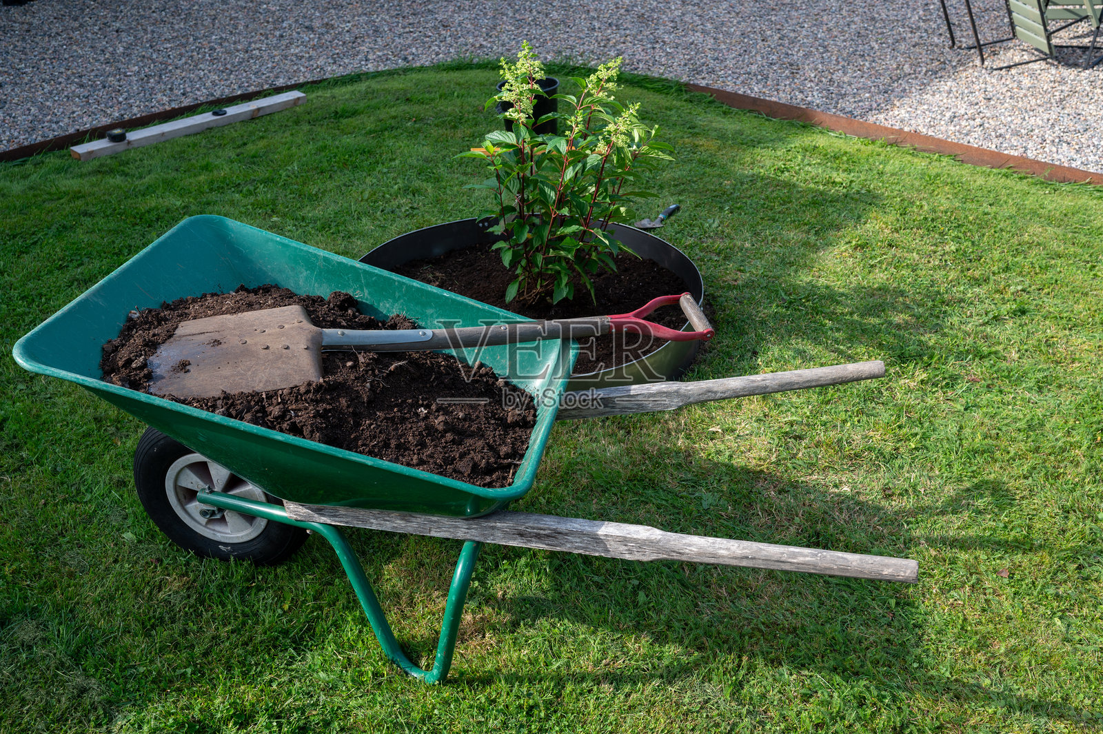 花园中种植灌木后装满土壤的手推车照片摄影图片