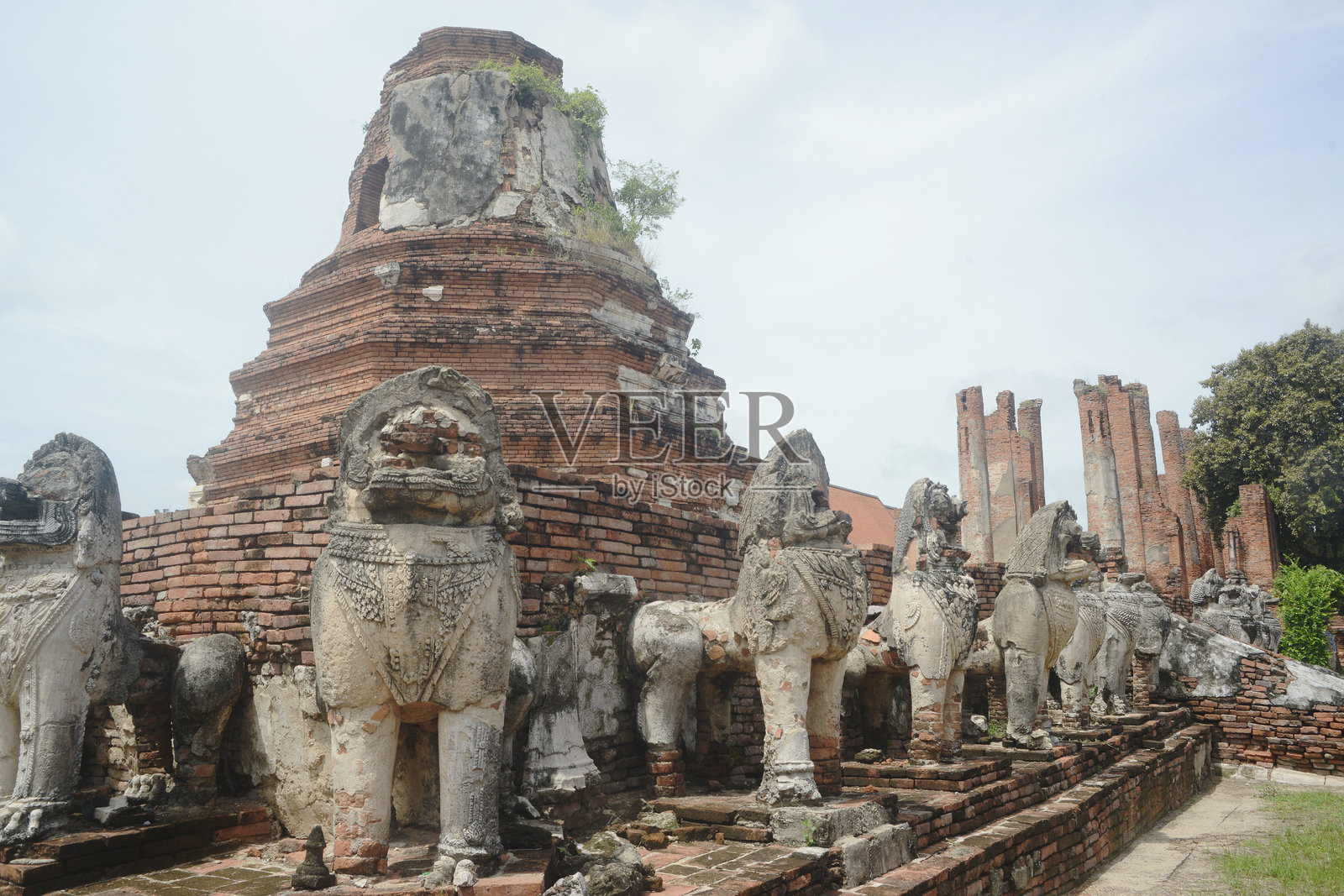 在塔姆米卡拉特寺主塔周围的狮子雕像。照片摄影图片