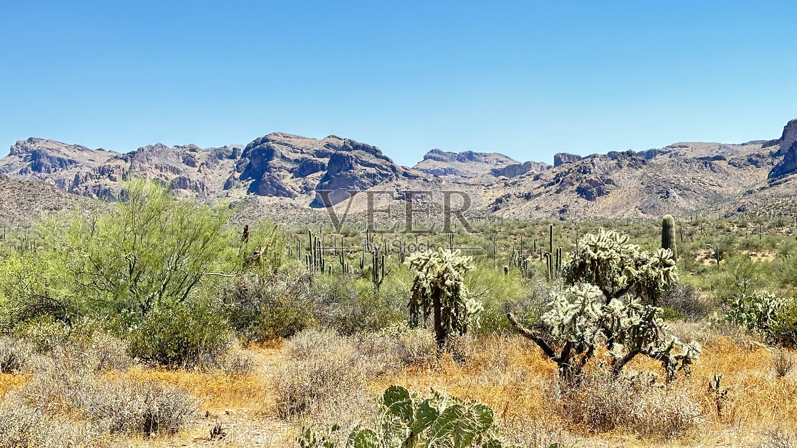 亚利桑那州金峡谷照片摄影图片