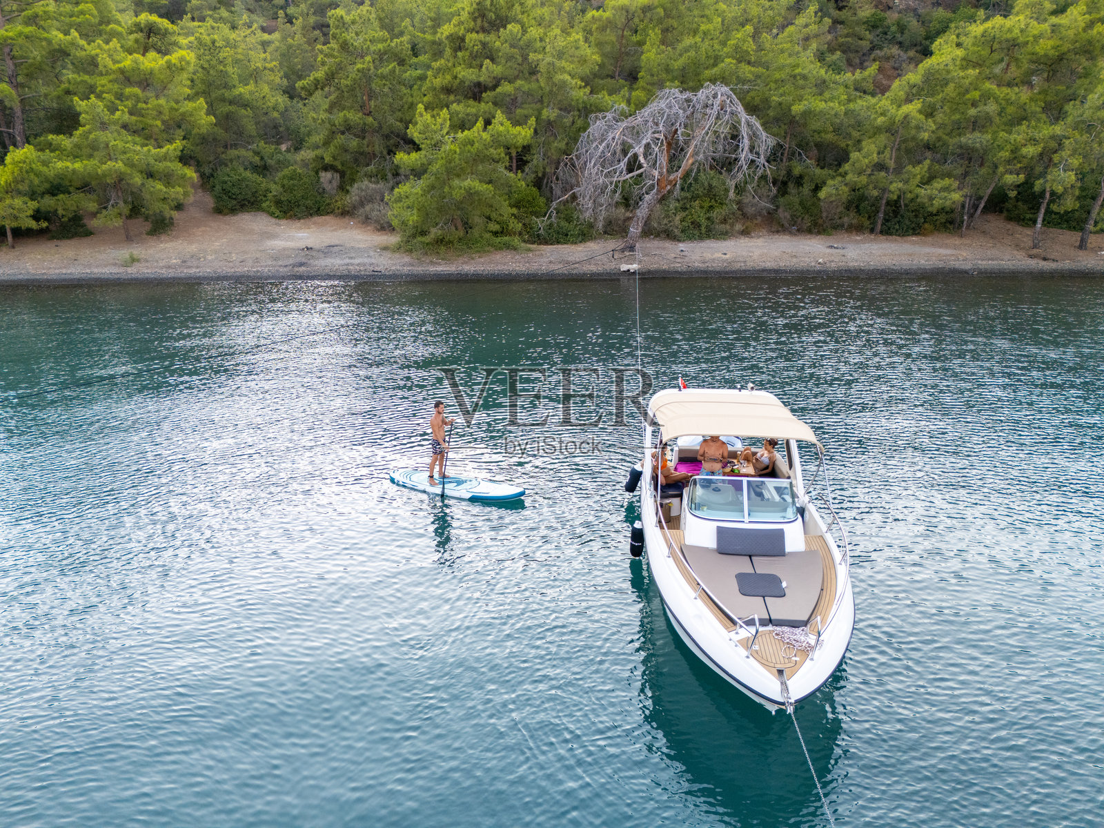 鸟瞰图：一艘停靠在绿意盎然的海滩上的船照片摄影图片