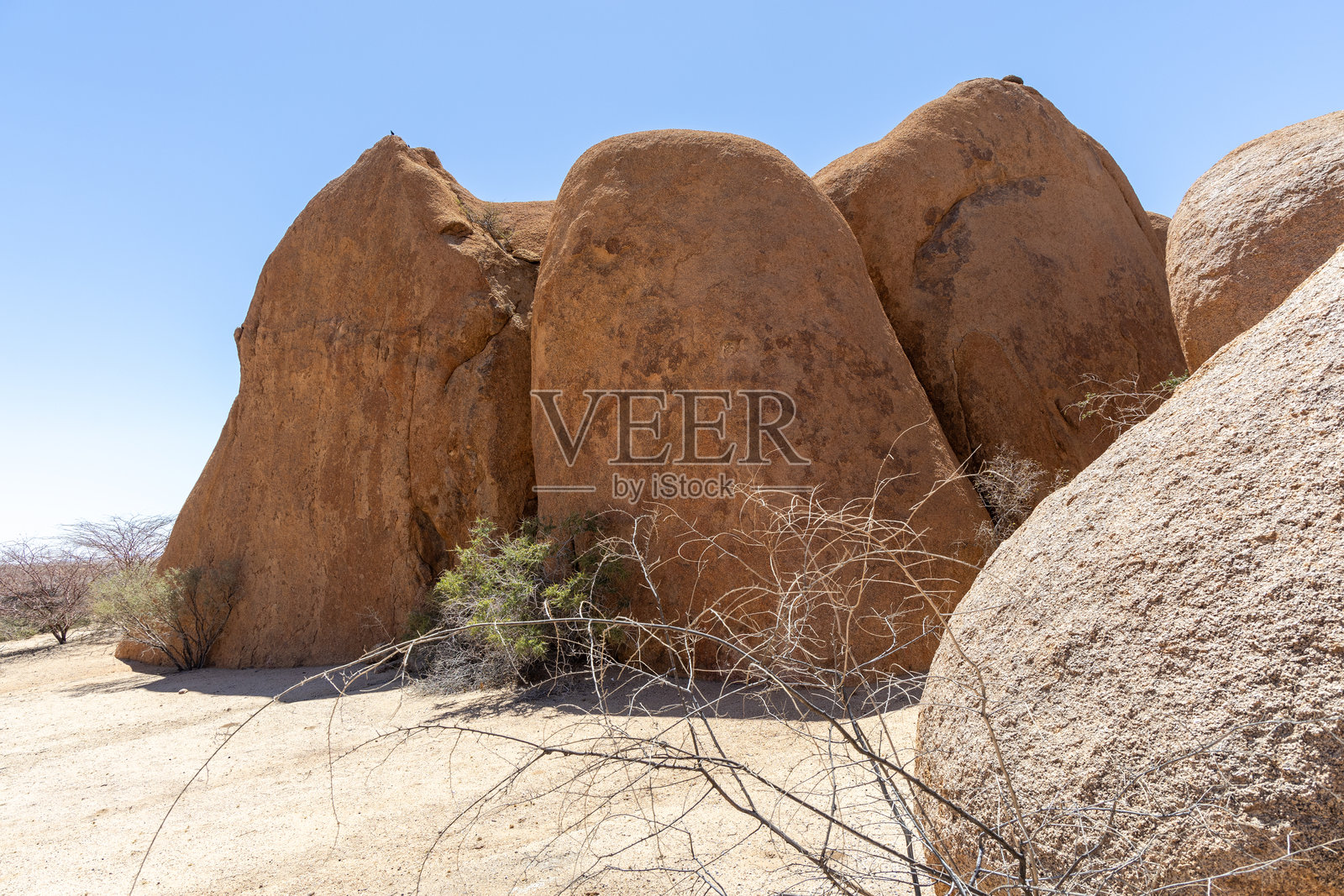 纳米布照片摄影图片