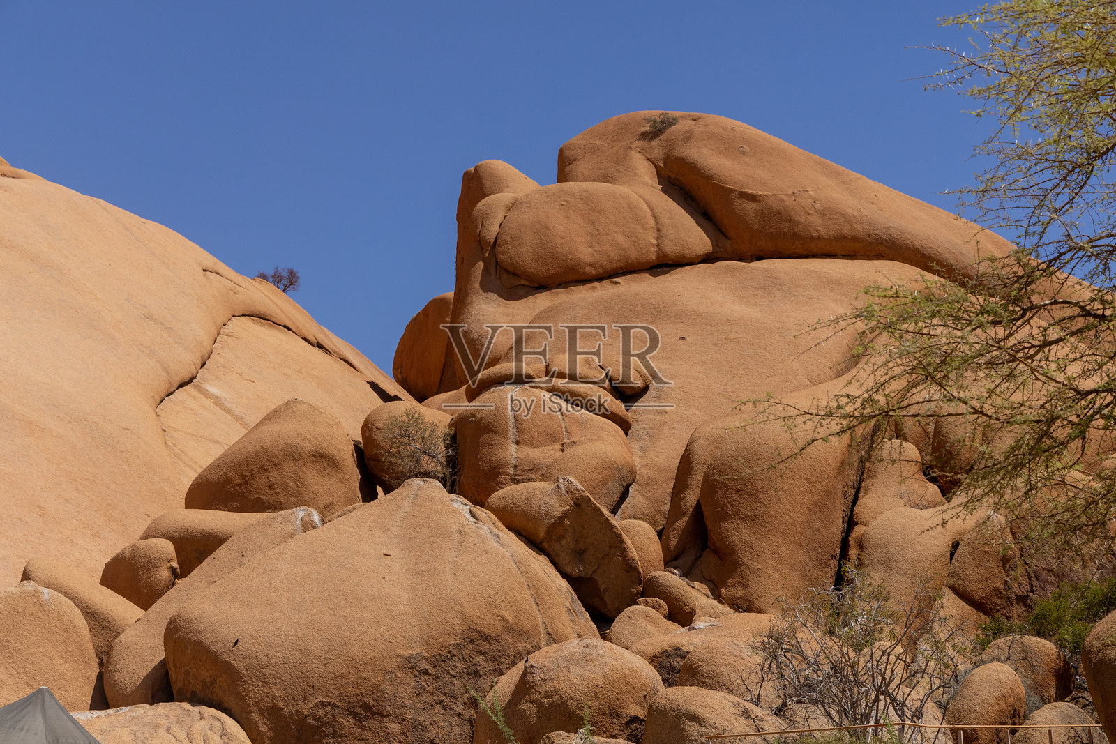 纳米布照片摄影图片