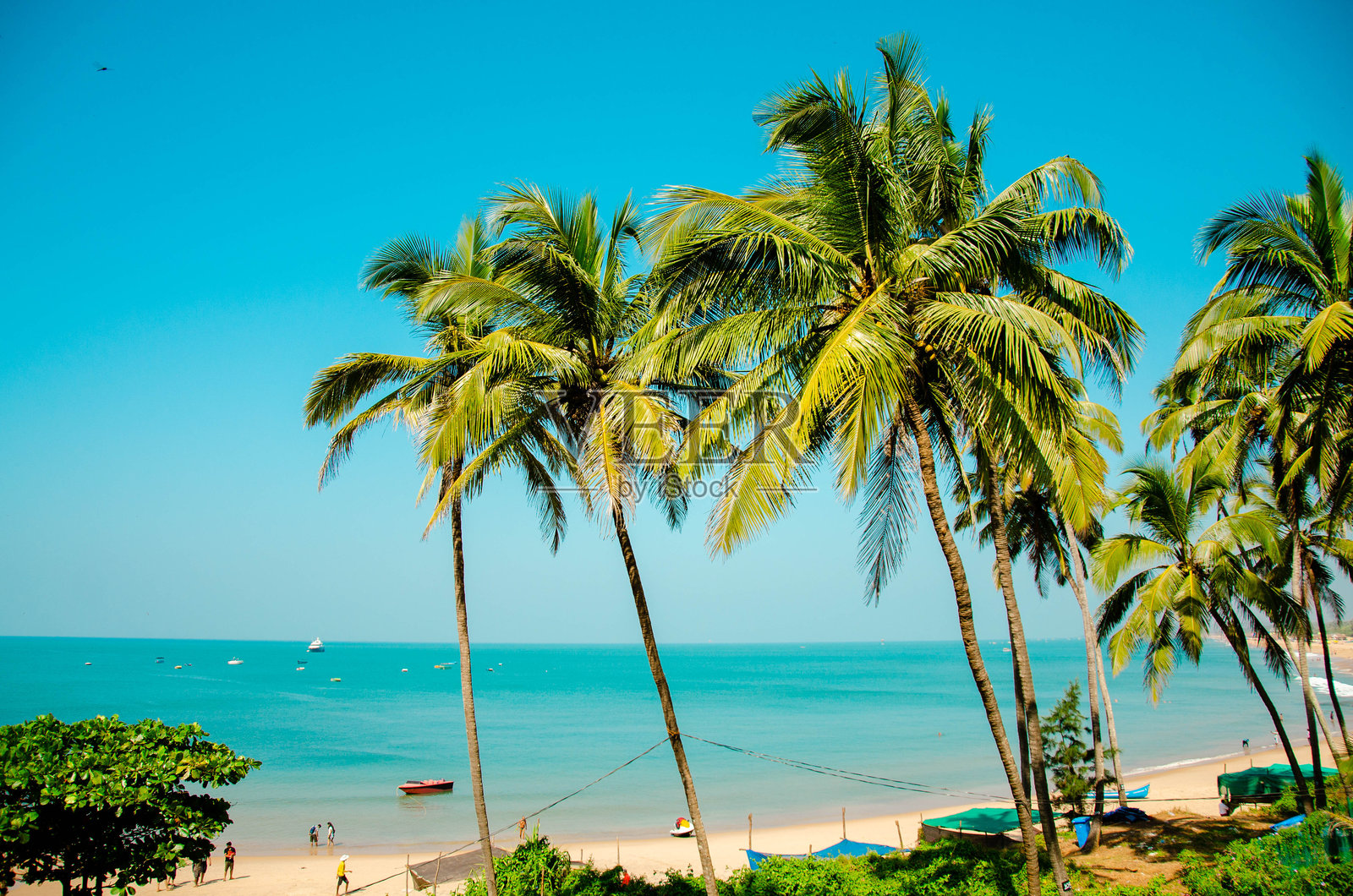 海滩上的棕榈树与蓝天相映成趣照片摄影图片