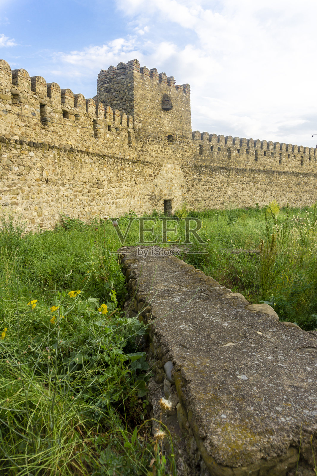 查伊卢里堡垒的庭院。高耸的石墙带有射击孔，防御塔，绿草和黄色花朵。照片摄影图片