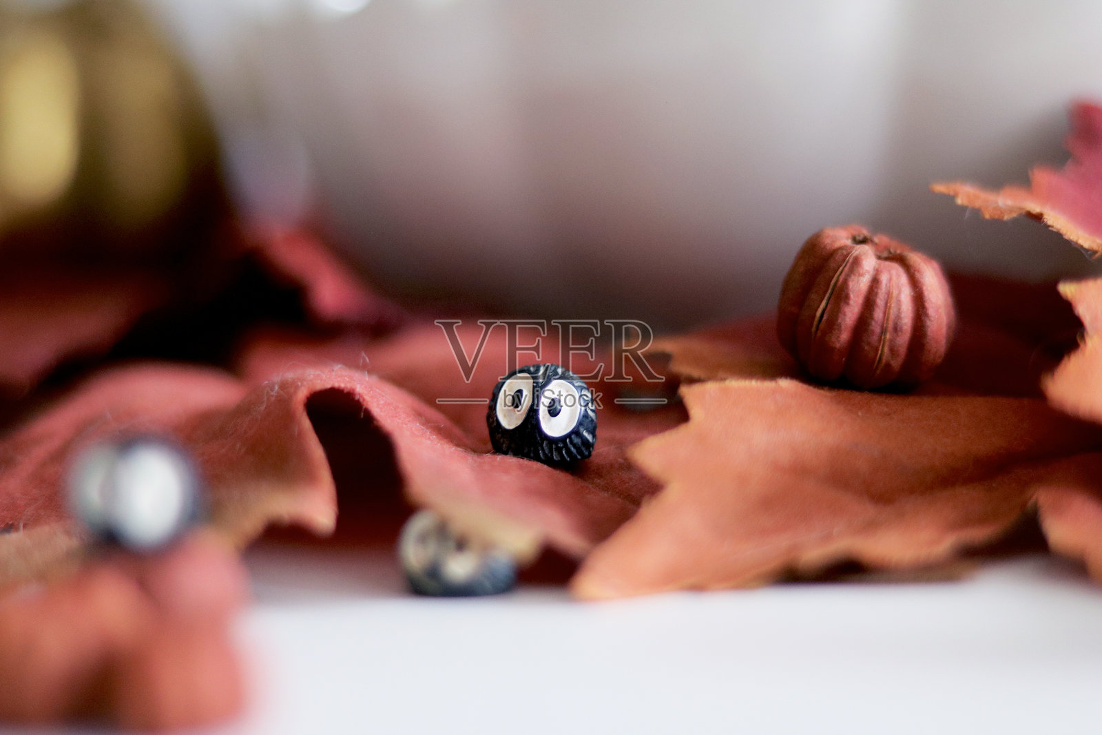 秋天的森林中游荡的煤球精灵照片摄影图片