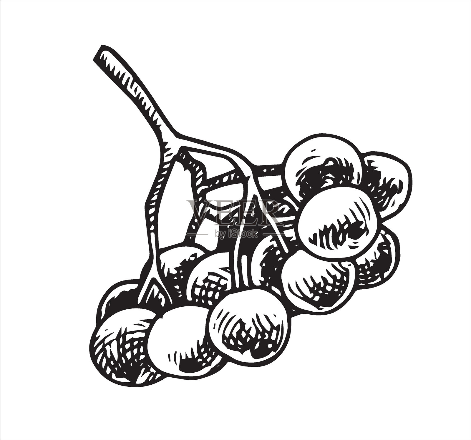 榛子果。素描风格的矢量插图插画图片素材