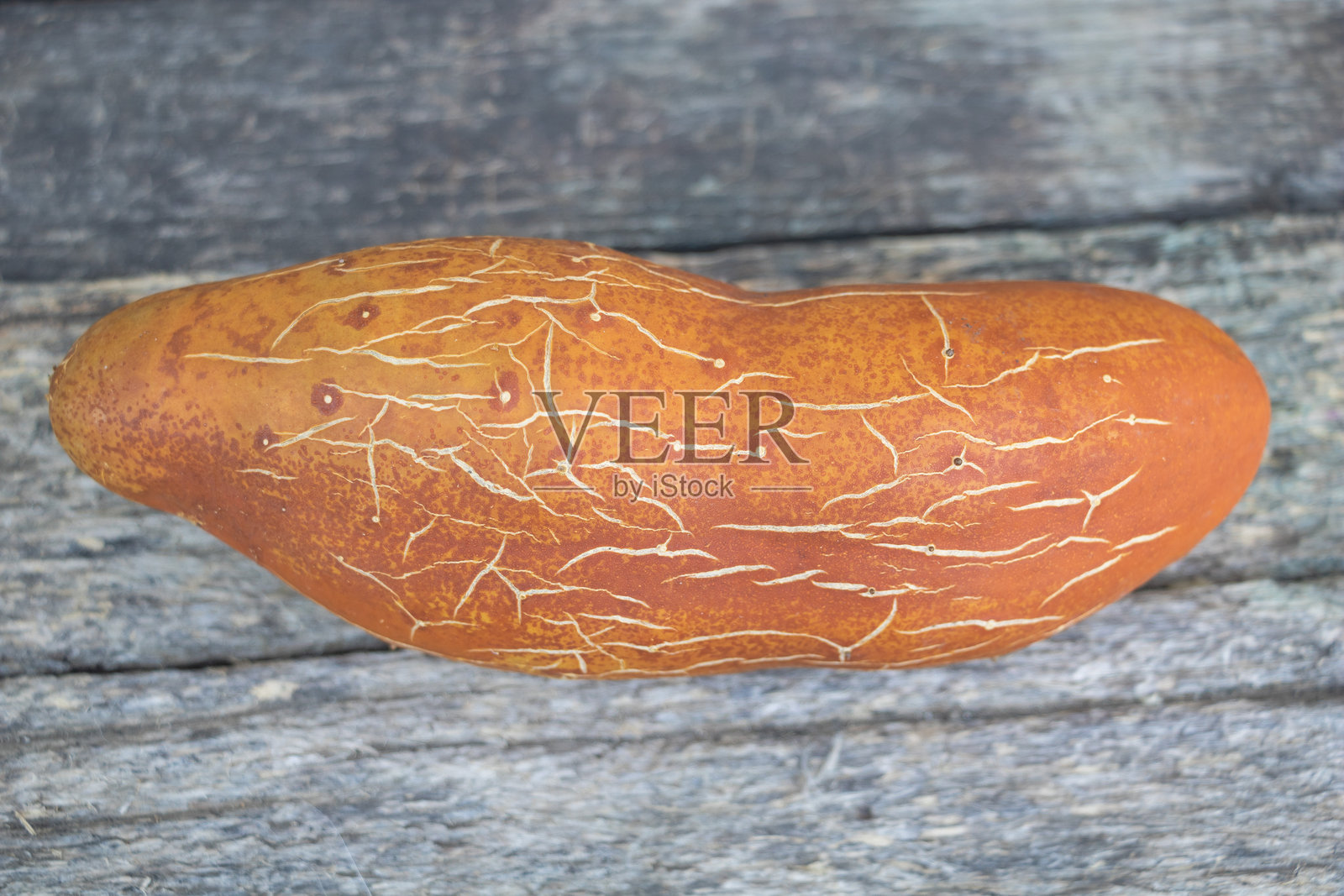 一根表面有复杂纹路和图案的老黄瓜，平放在粗糙的风化木材上。照片摄影图片