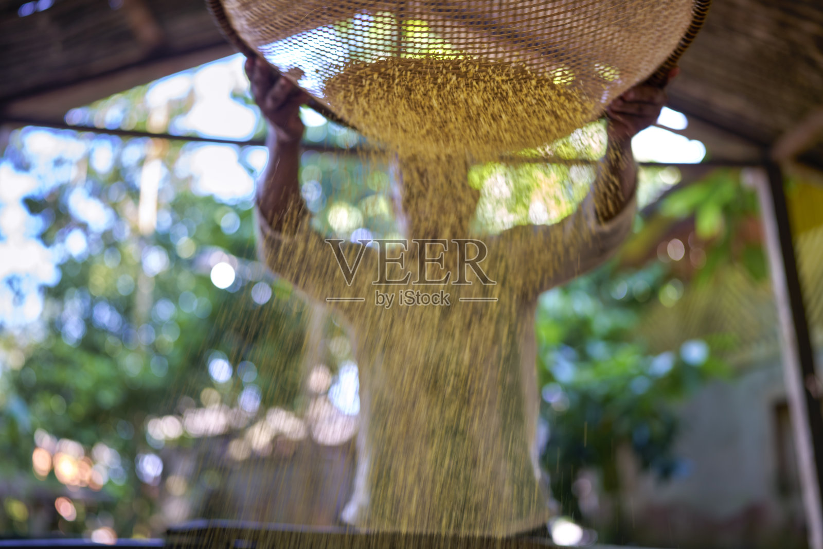 一位来自巴西土著社区的男子正在筛选他刚刚用木薯制作的面粉。照片摄影图片