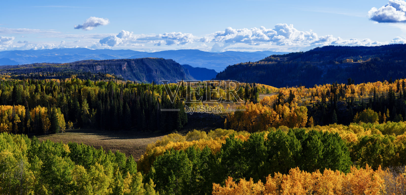 崎岖的峡谷、山脉和秋季的美丽白杨树照片摄影图片