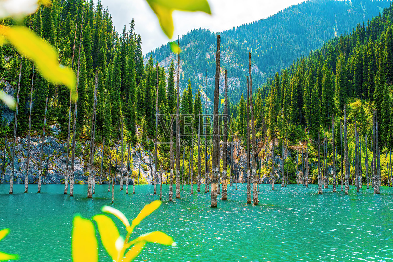 哈萨克斯坦的凯因迪山湖照片摄影图片