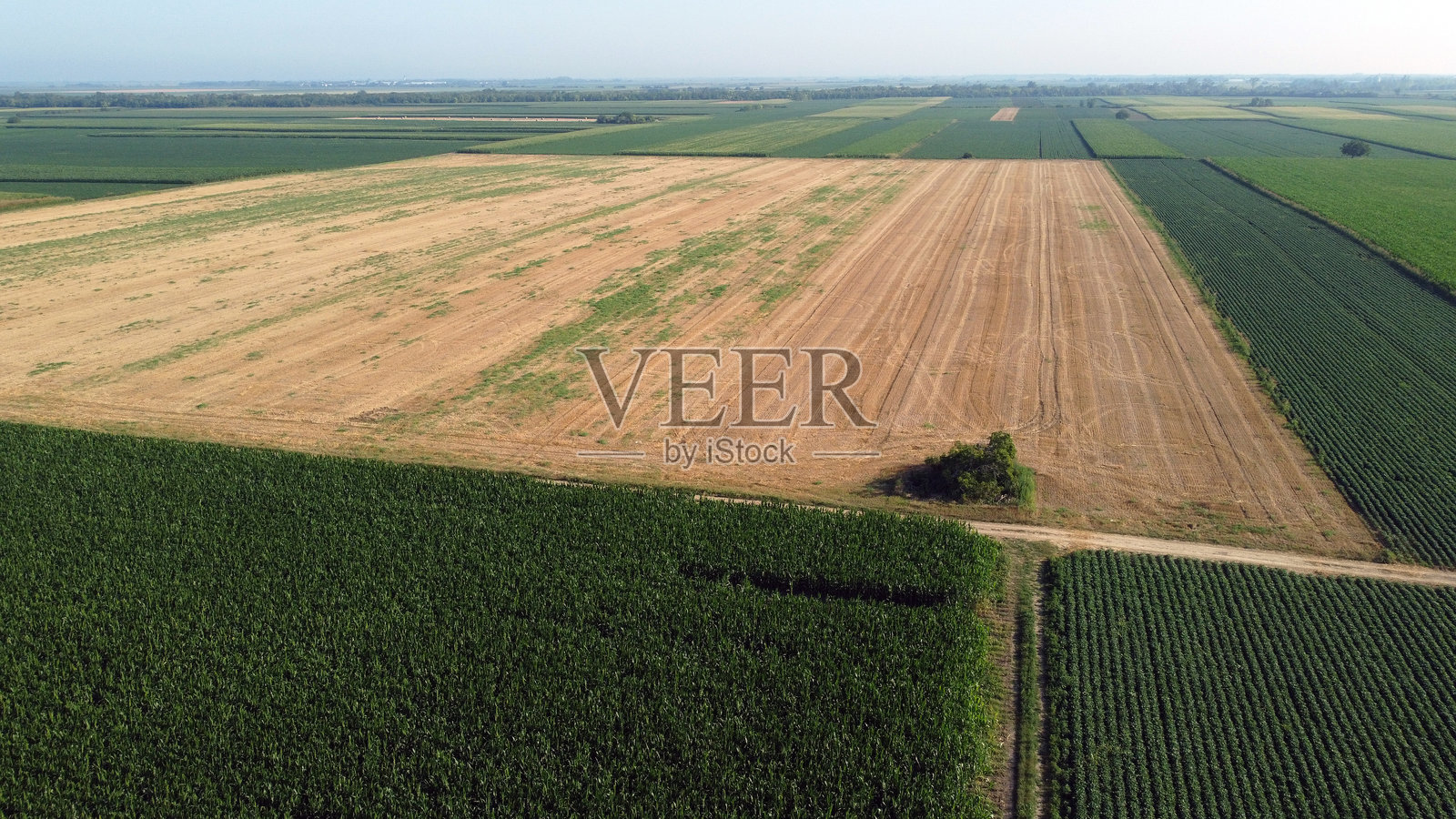 从无人机视角看到的收割小麦田照片摄影图片