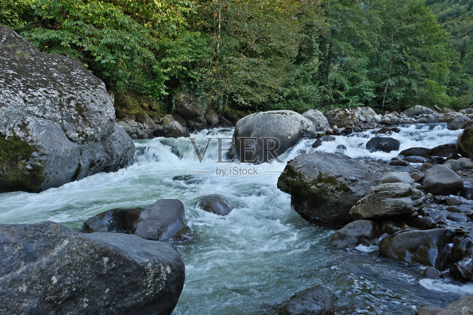 森林中的山间河流照片摄影图片