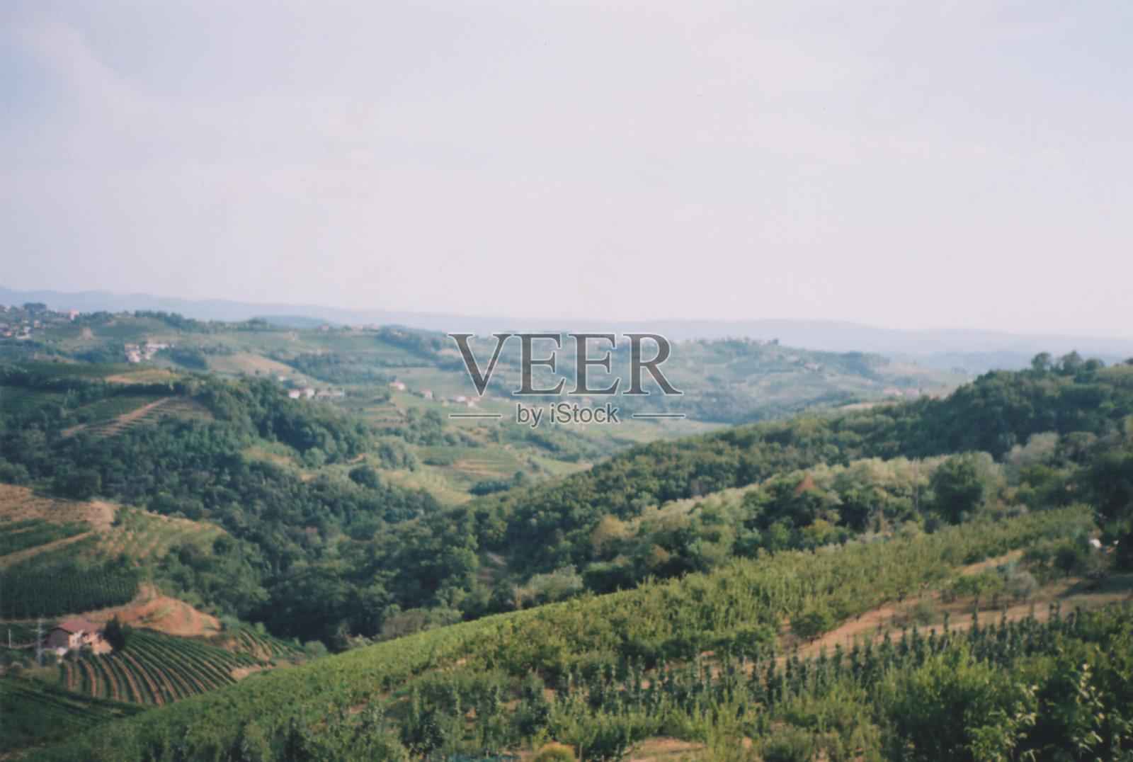 斯洛文尼亚布尔达省夏季的山丘鸟瞰图，胶卷摄影照片摄影图片