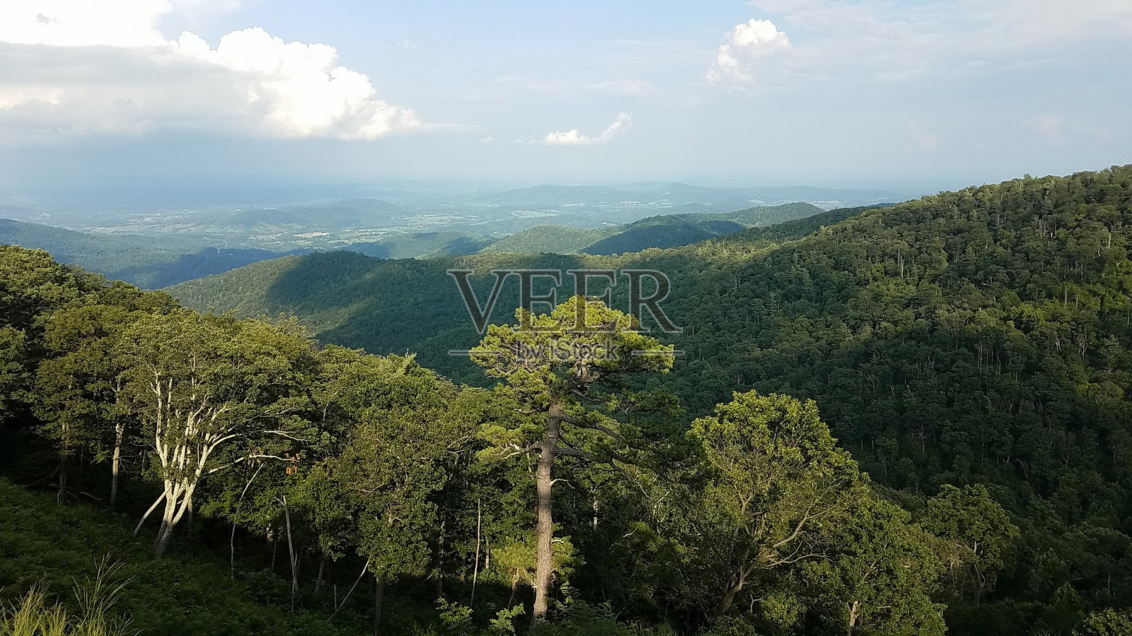 弗吉尼亚山脉照片摄影图片