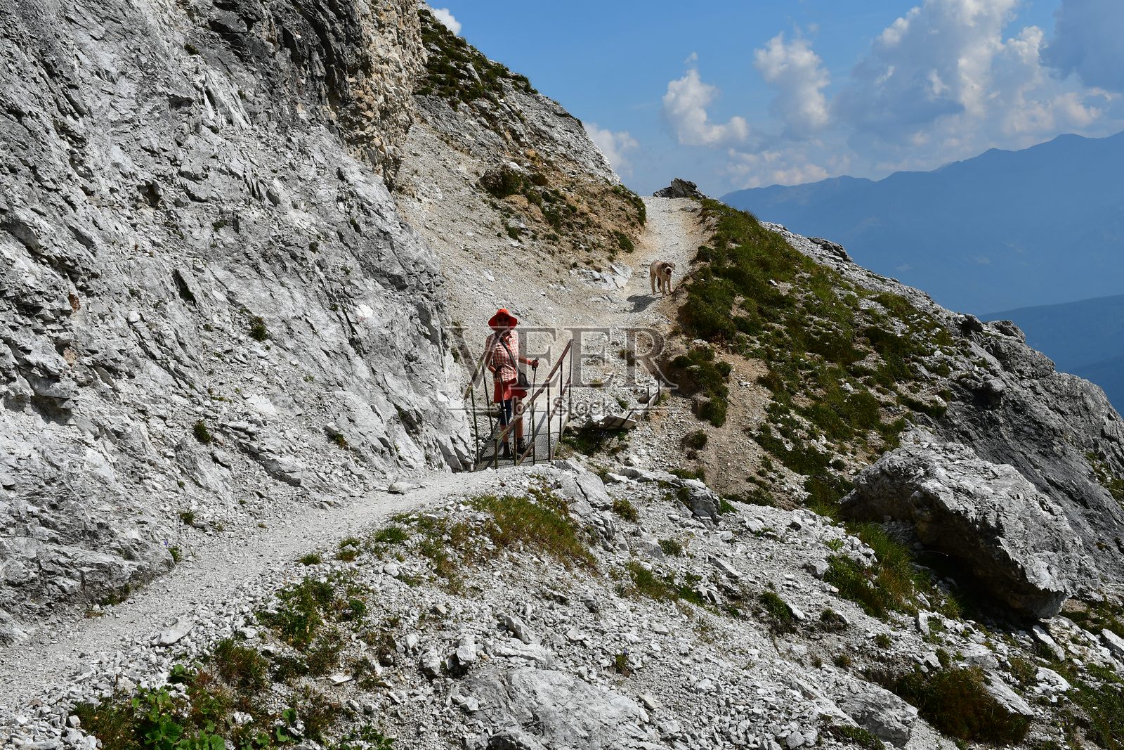 一位女性与她的拉戈托·罗马涅洛犬在奥地利的斯图拜谷徒步旅行照片摄影图片
