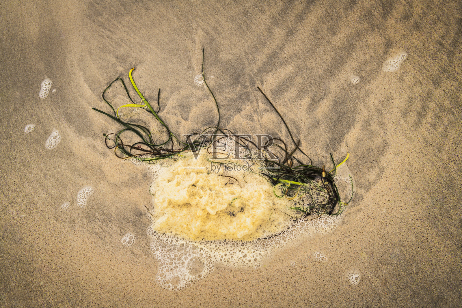 泡沫与杂草照片摄影图片