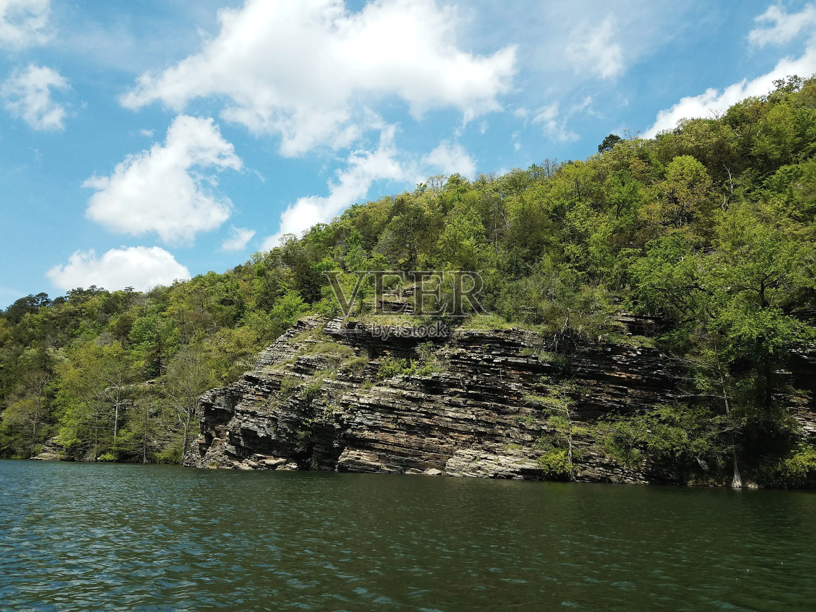 森林中的河流风景照片摄影图片