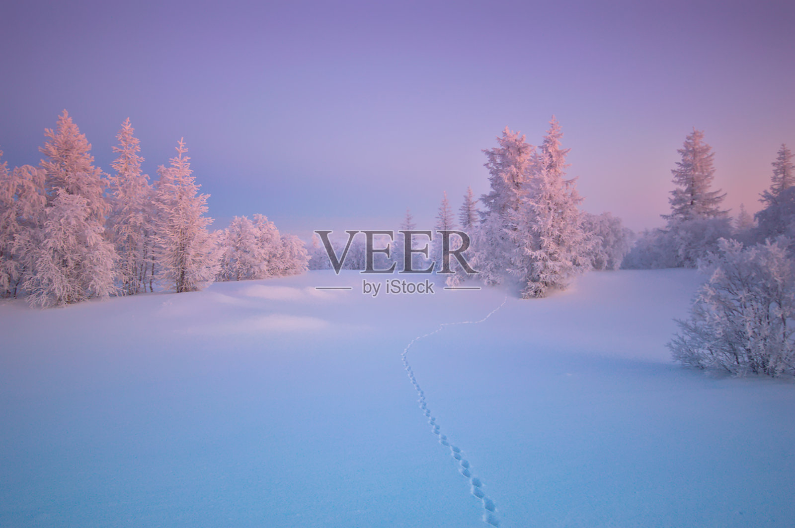 冬季冰冻的冬季色彩照片摄影图片