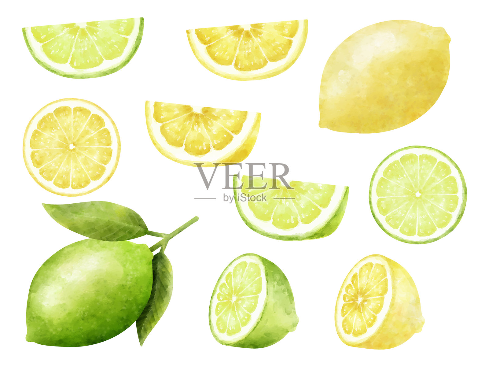 一组水彩插图，描绘柠檬和青柠插画图片素材