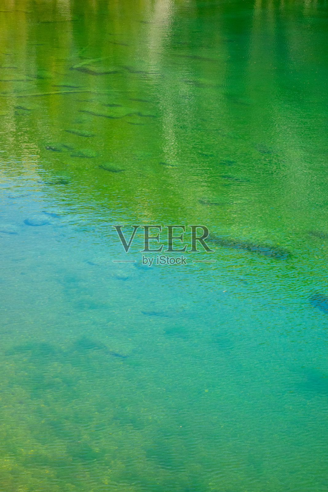 大松湖景观照片摄影图片