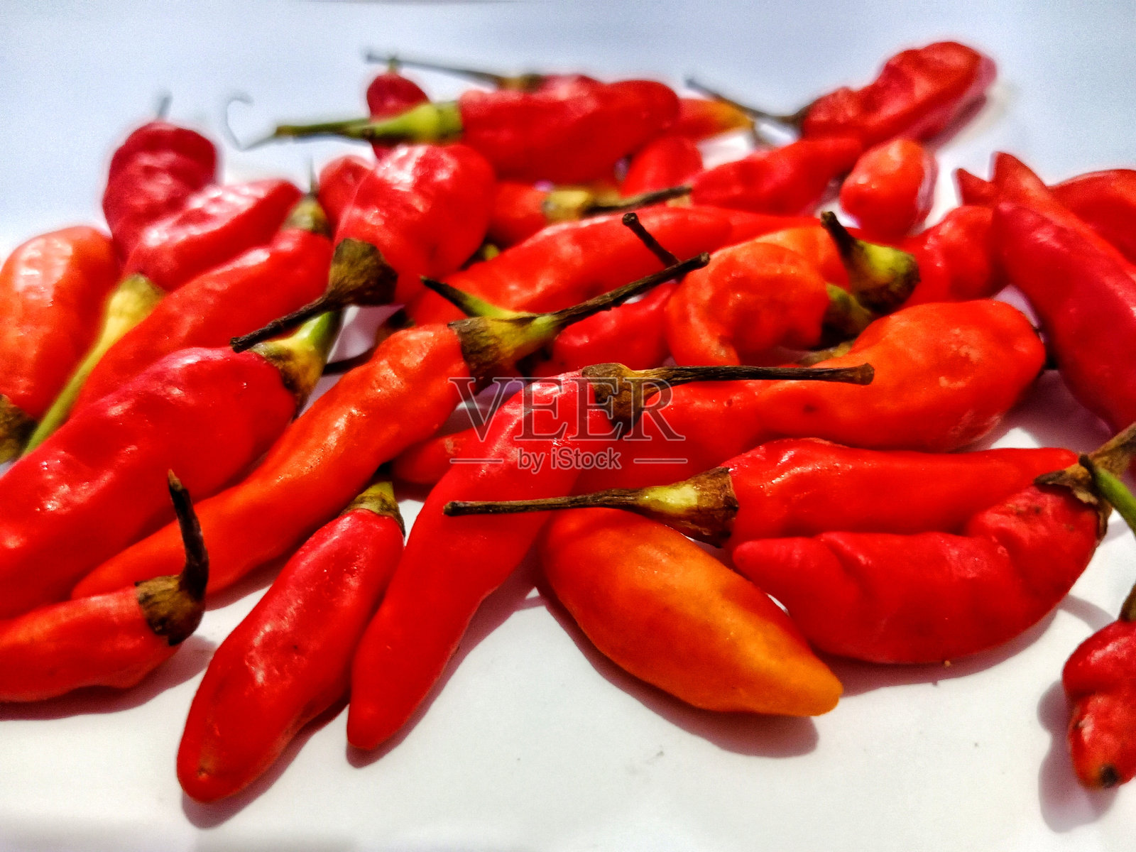 白色背景上的辣红椒照片摄影图片