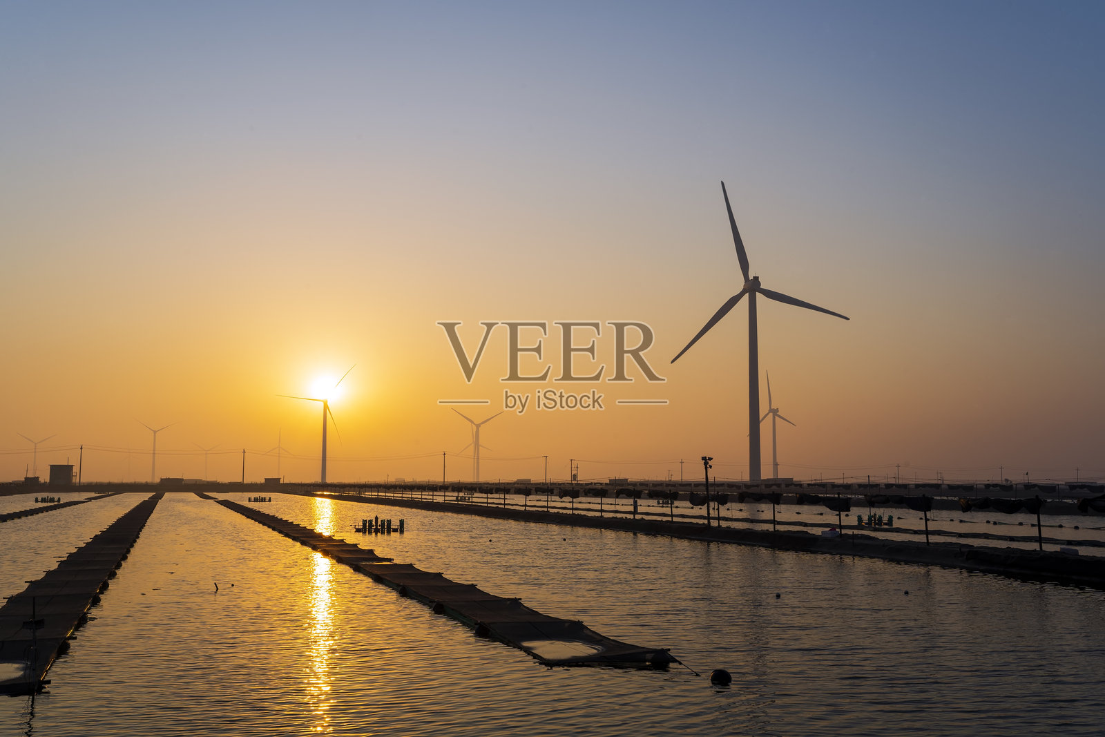 海边的风力发电和海参养殖场的早晨照片摄影图片