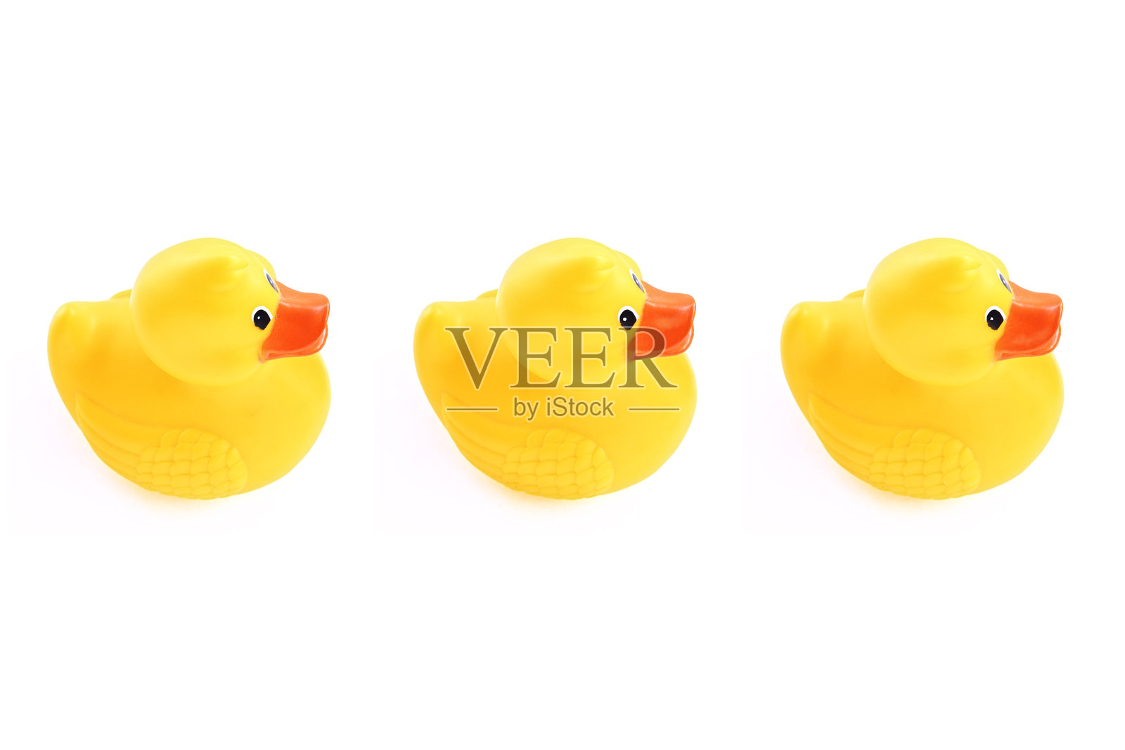 一排黄色橡胶鸭子在白色背景上照片摄影图片