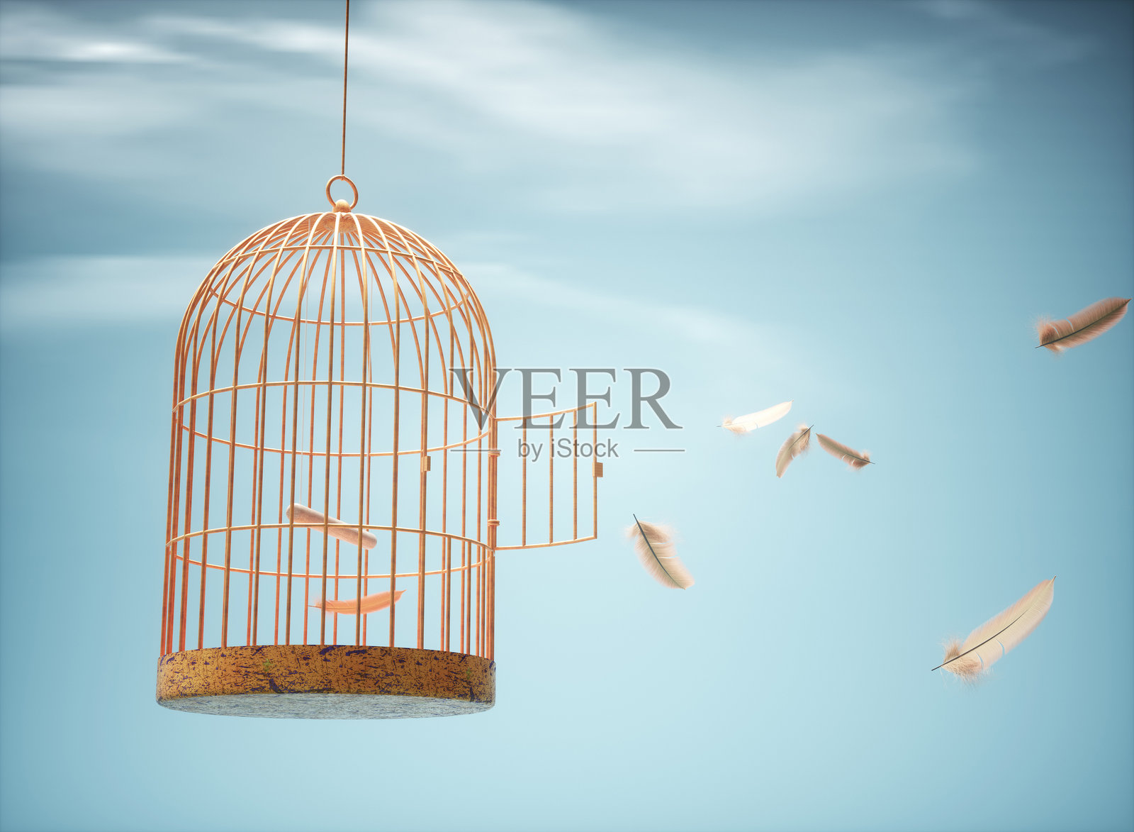 鸟笼敞开着门，羽毛在空中飘浮。照片摄影图片