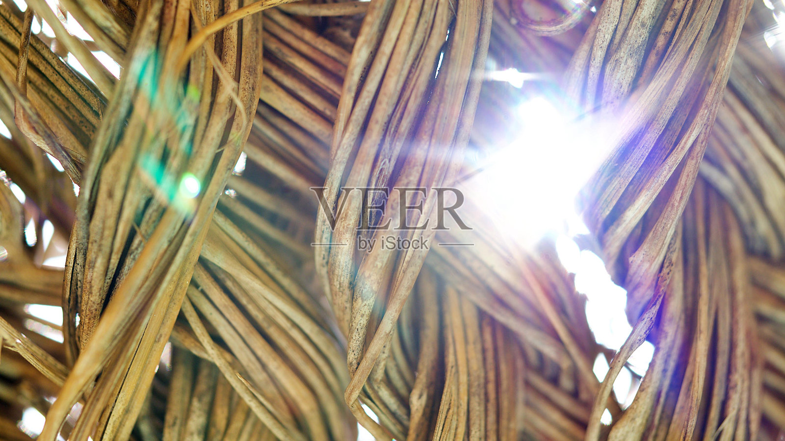 雨伞照片摄影图片