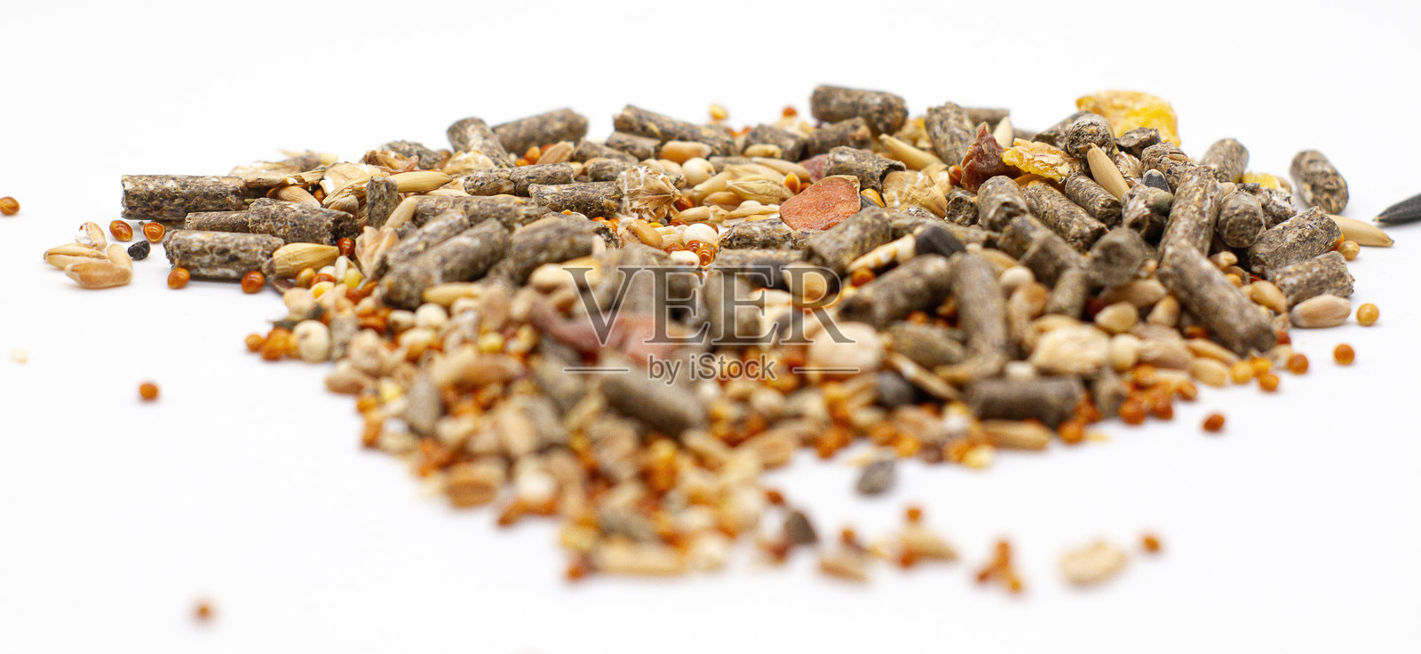 干燥的啮齿动物食物侧面特写照片摄影图片