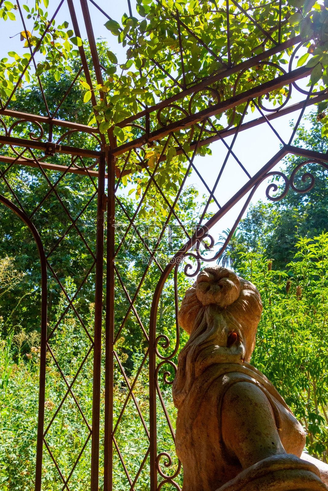 加利福尼亚的花园照片摄影图片