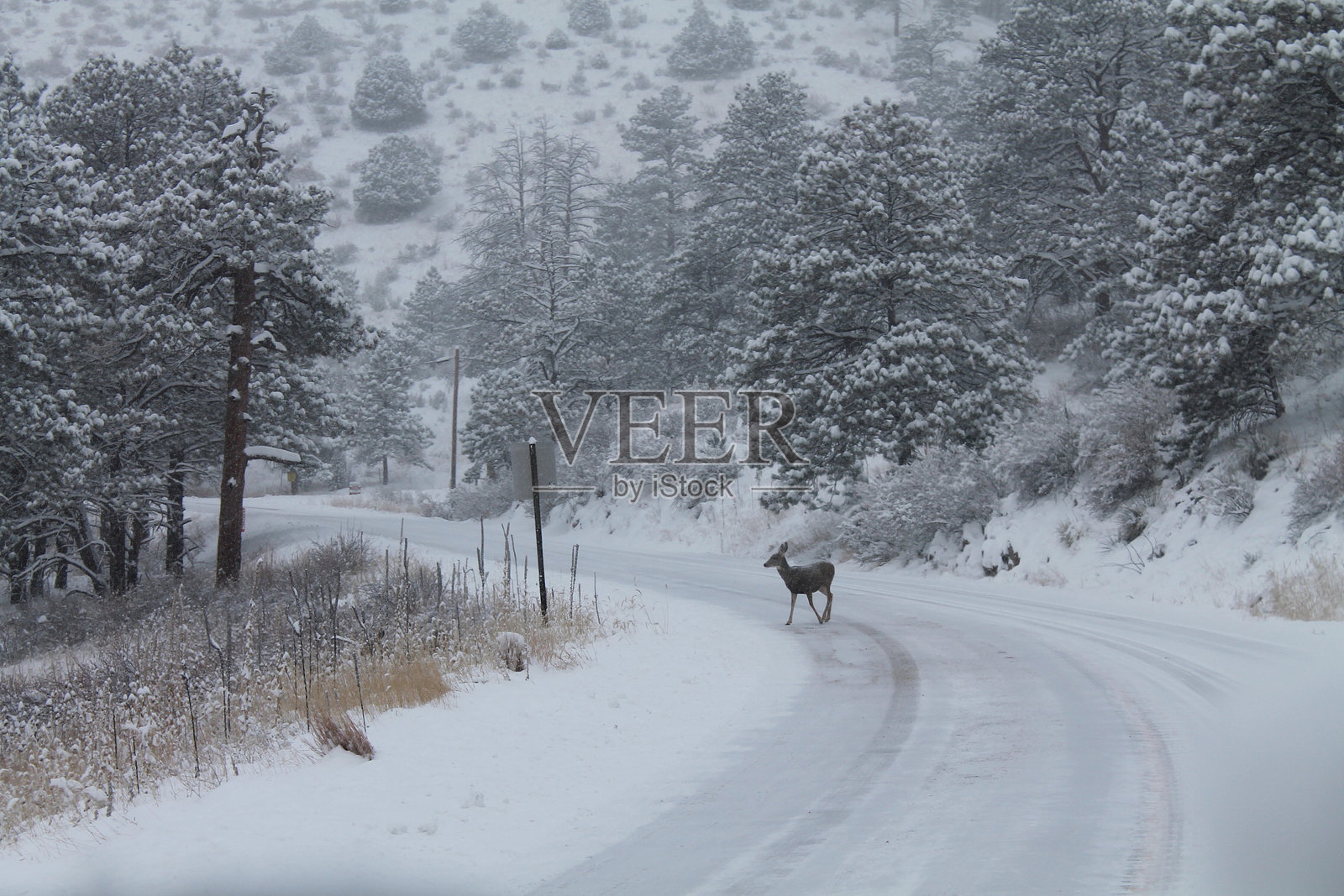 科罗拉多照片摄影图片
