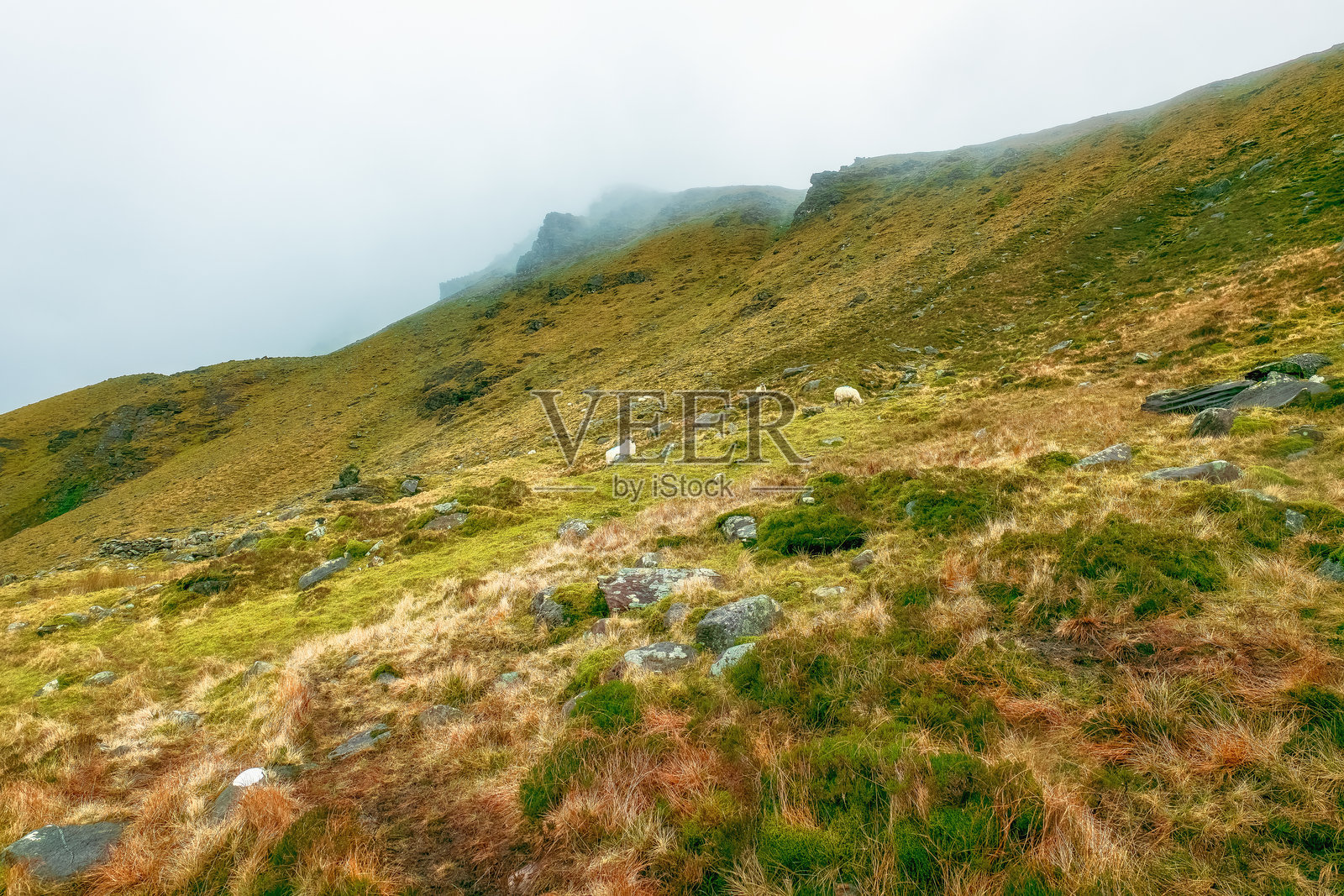 清晨雾气中的山脉景观，金色草地与岩石突起相映成趣。照片摄影图片
