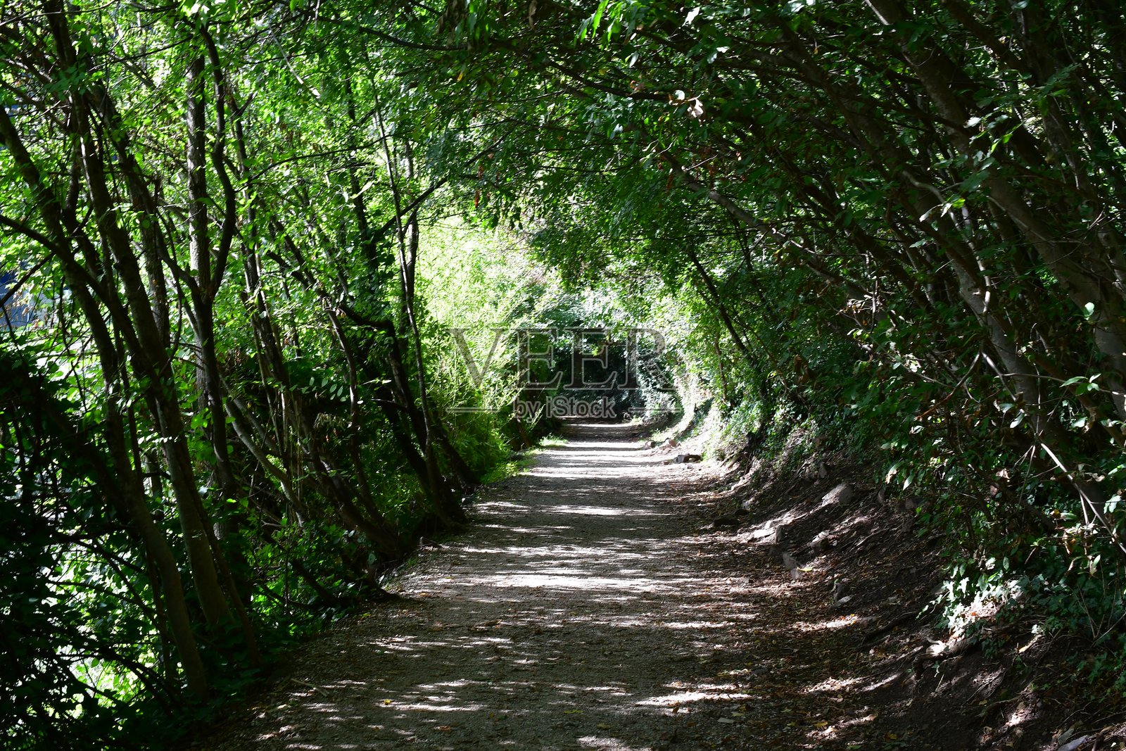 南蒂罗尔拉纳附近的徒步小径照片摄影图片