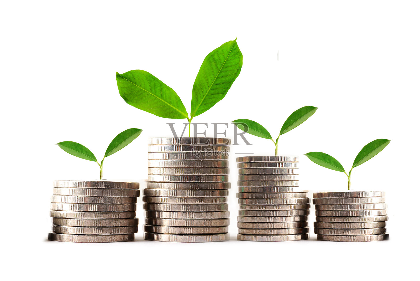 绿色植物叶子与储蓄硬币，商业金融储蓄银行投资概念。照片摄影图片