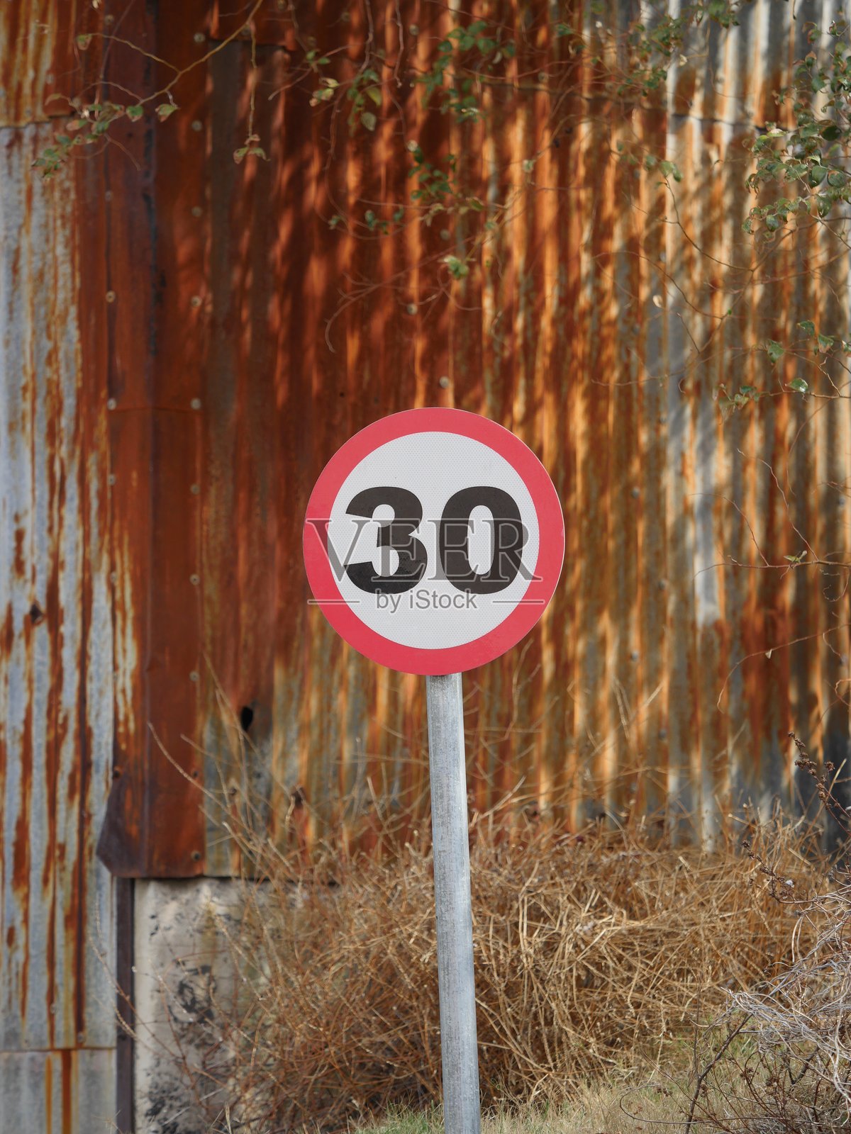 限速30照片摄影图片