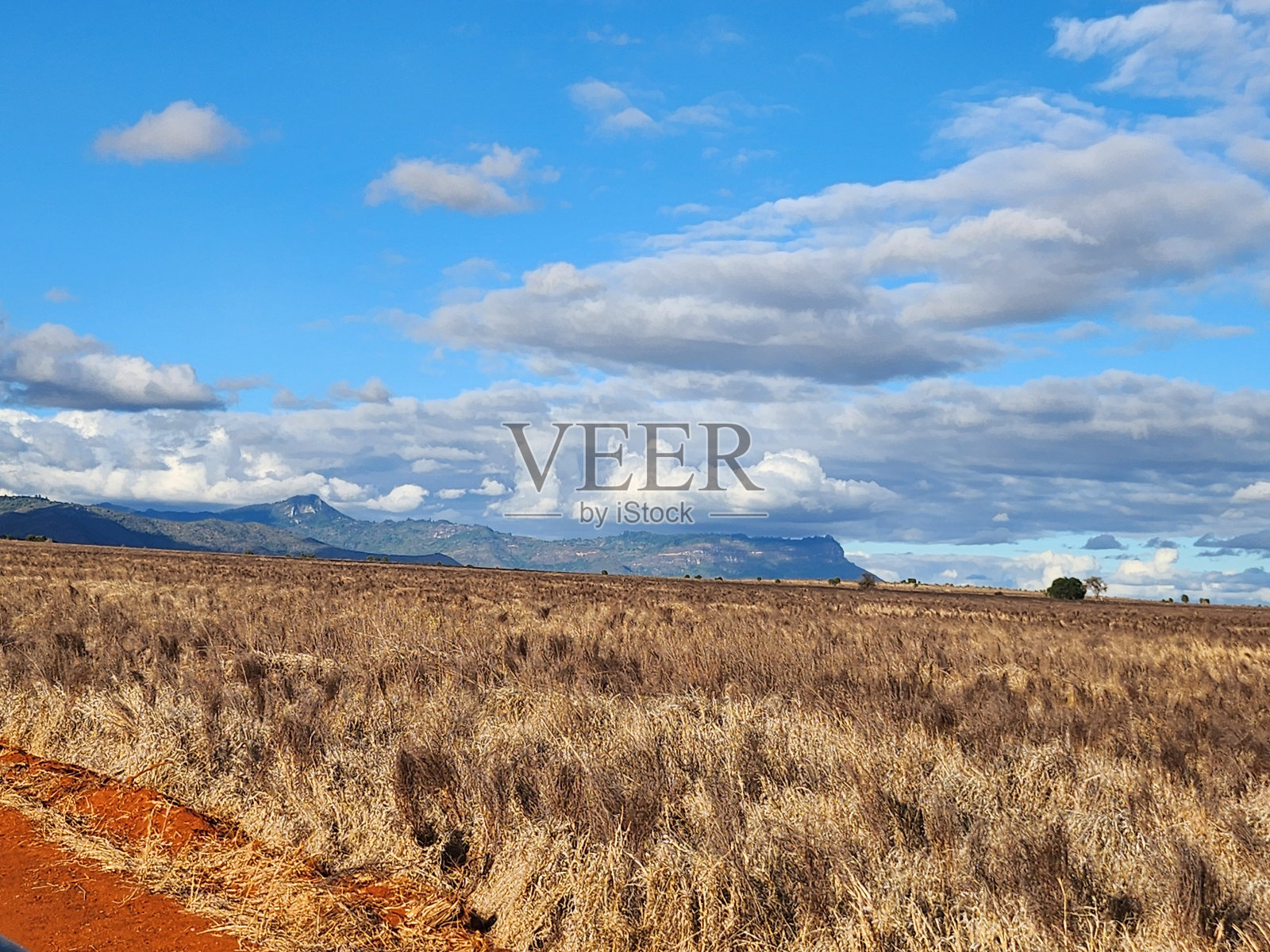 肯尼亚草原景观。照片摄影图片