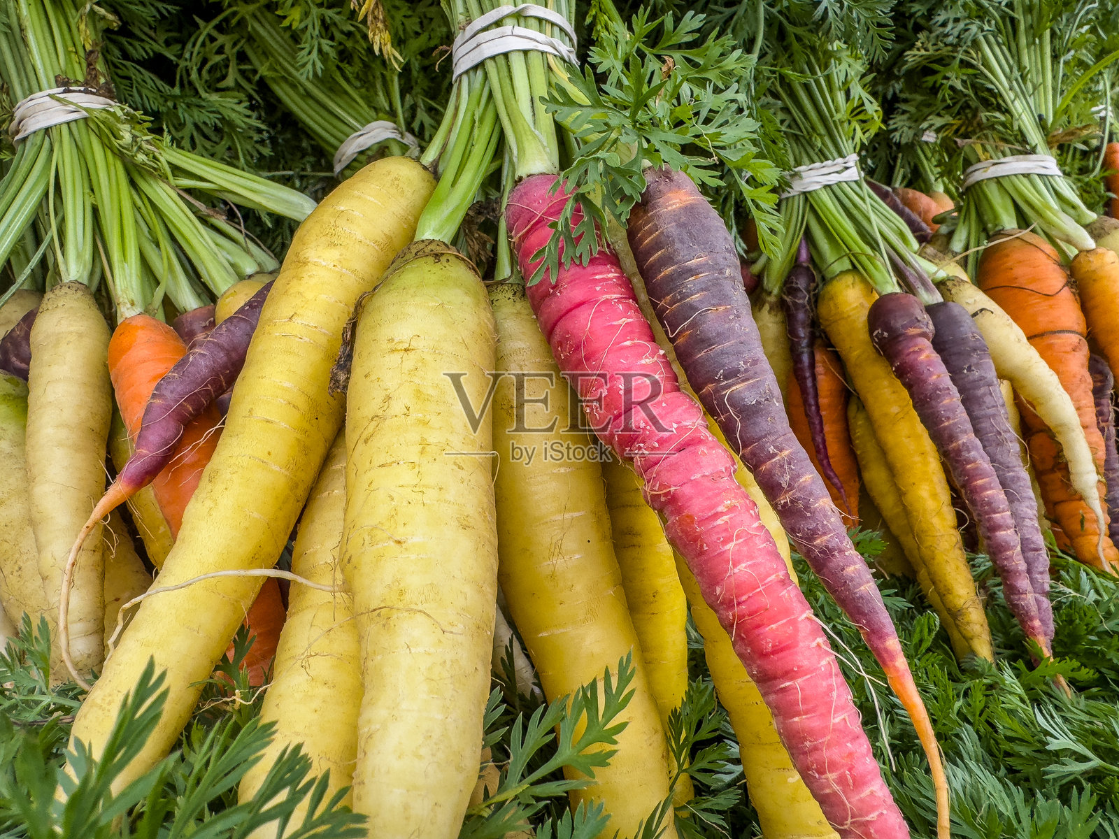 五彩缤纷的胡萝卜照片摄影图片