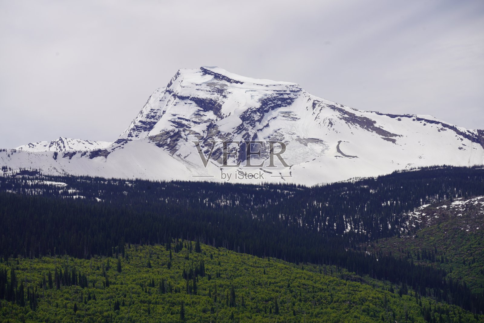 2024 冰川国家公园地区照片摄影图片