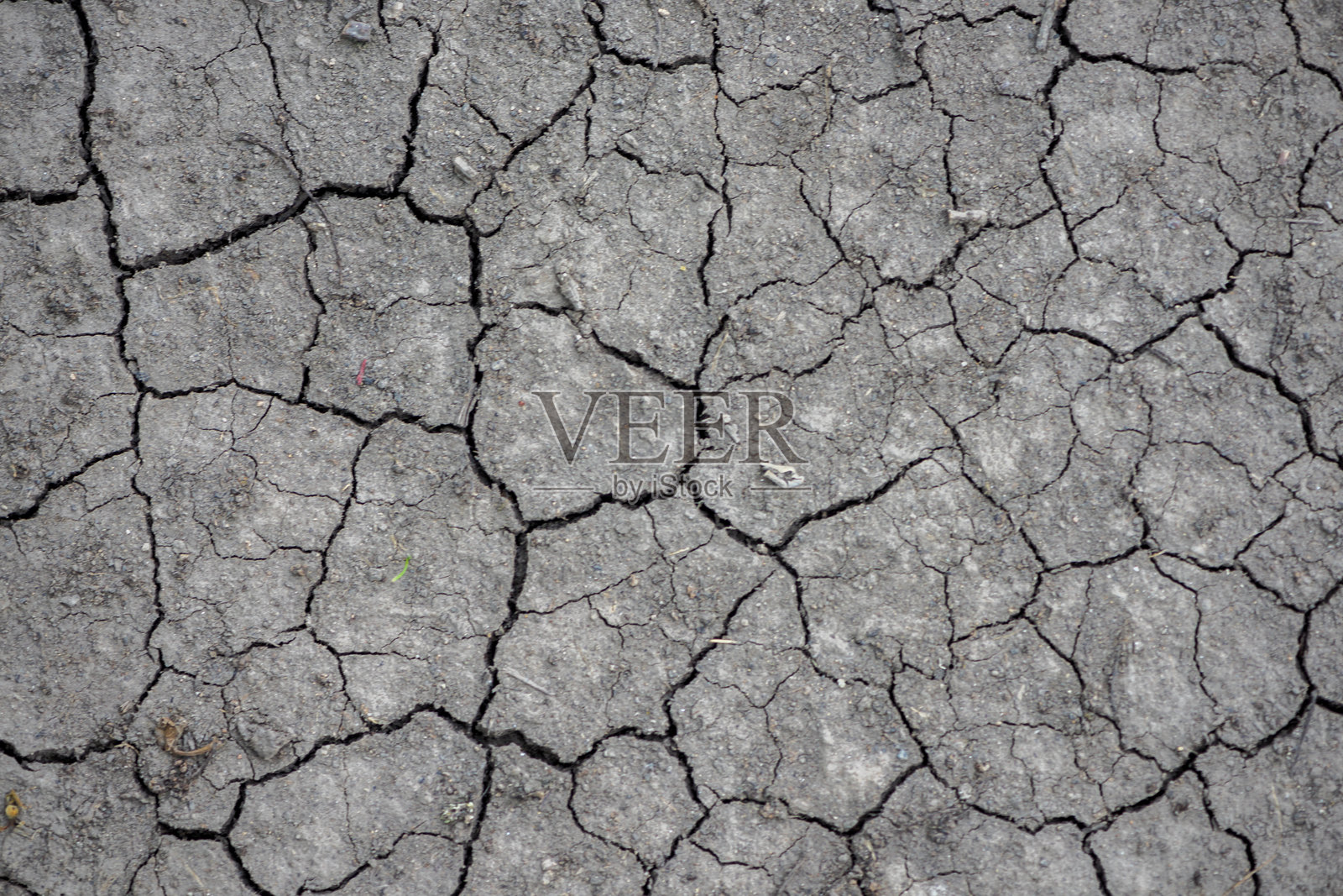 干裂的土壤照片摄影图片