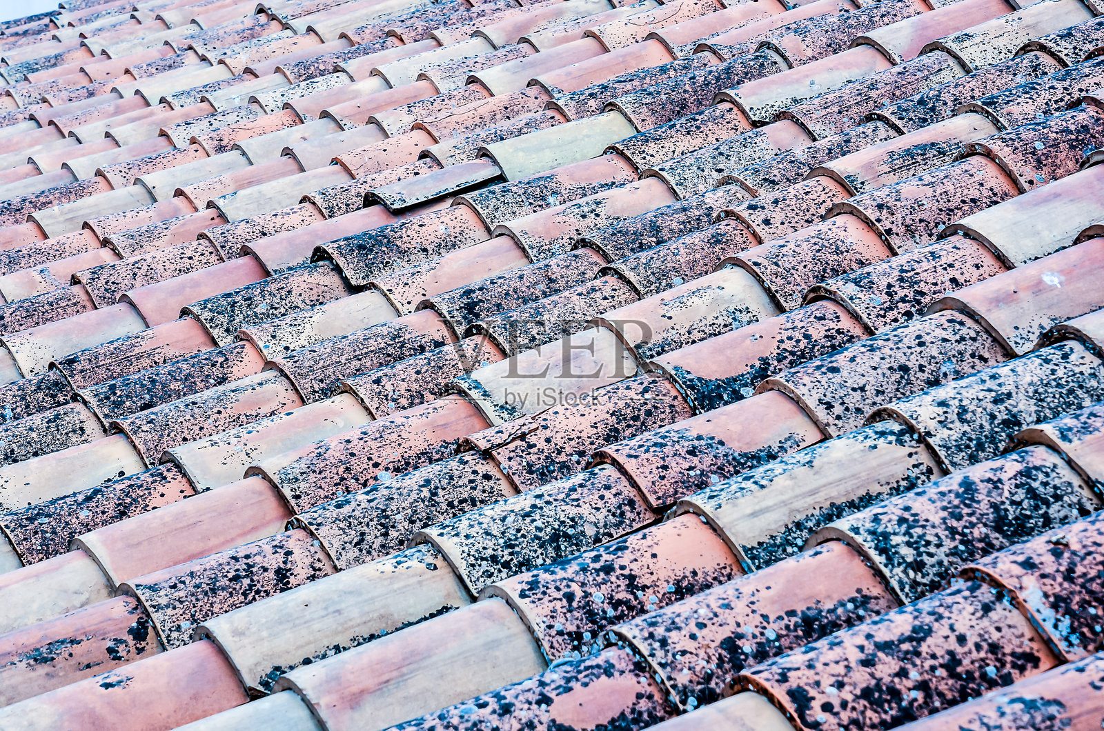 屋顶上布满了黑白斑点照片摄影图片