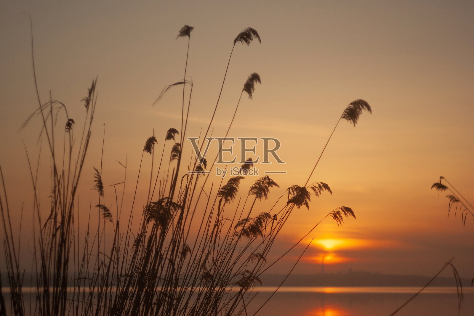 日落余晖：地平线上自然的美丽照片摄影图片