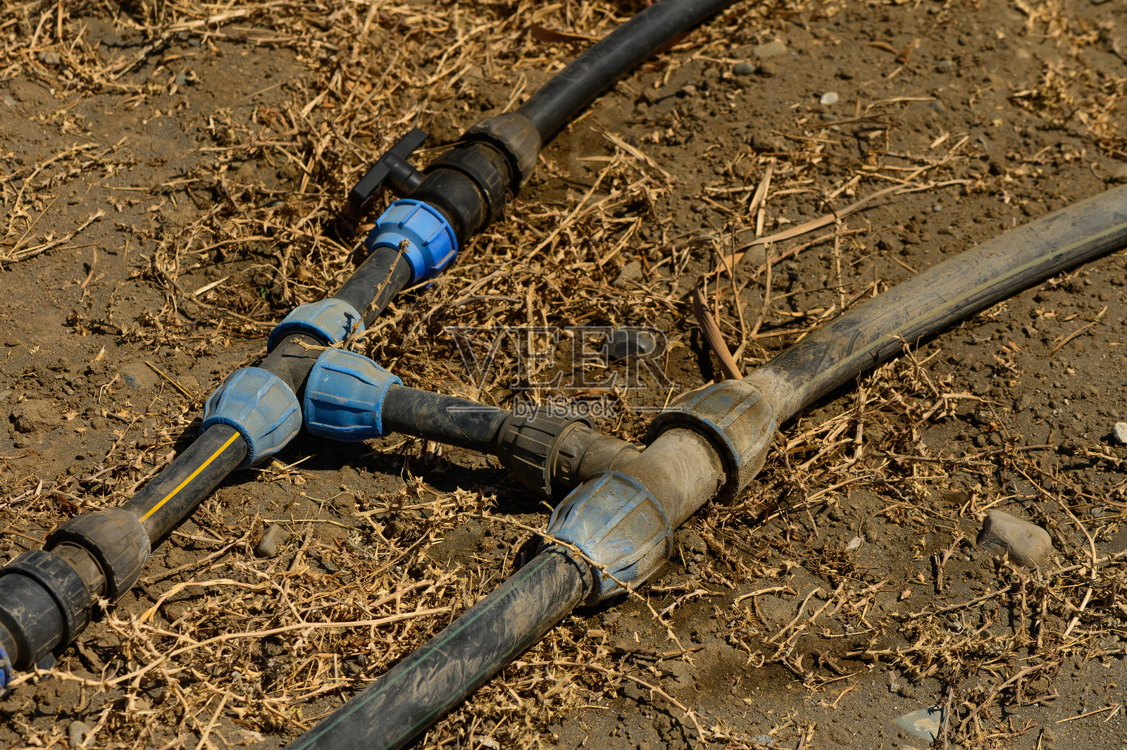 为他的花园安装自动滴灌系统。修理和连接管道使用配件。照片摄影图片