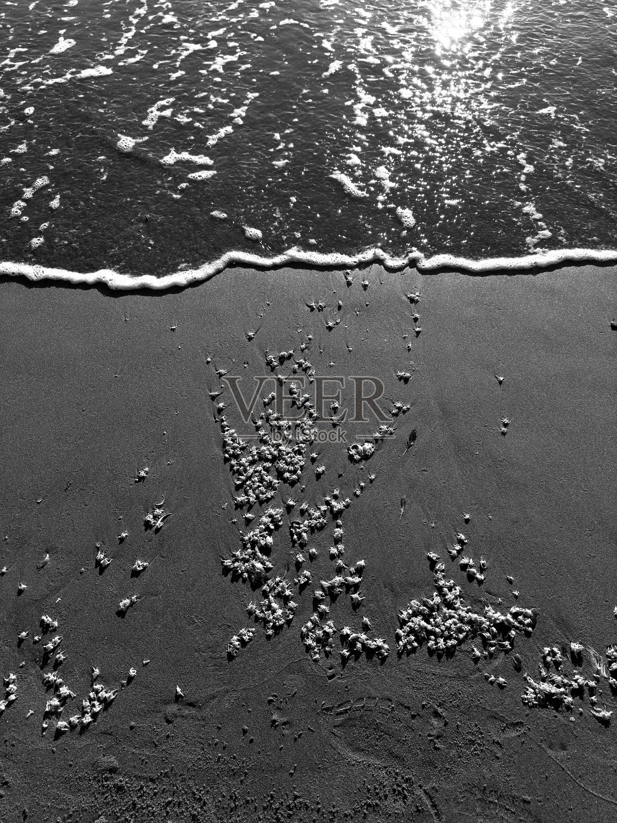 海岸线照片摄影图片