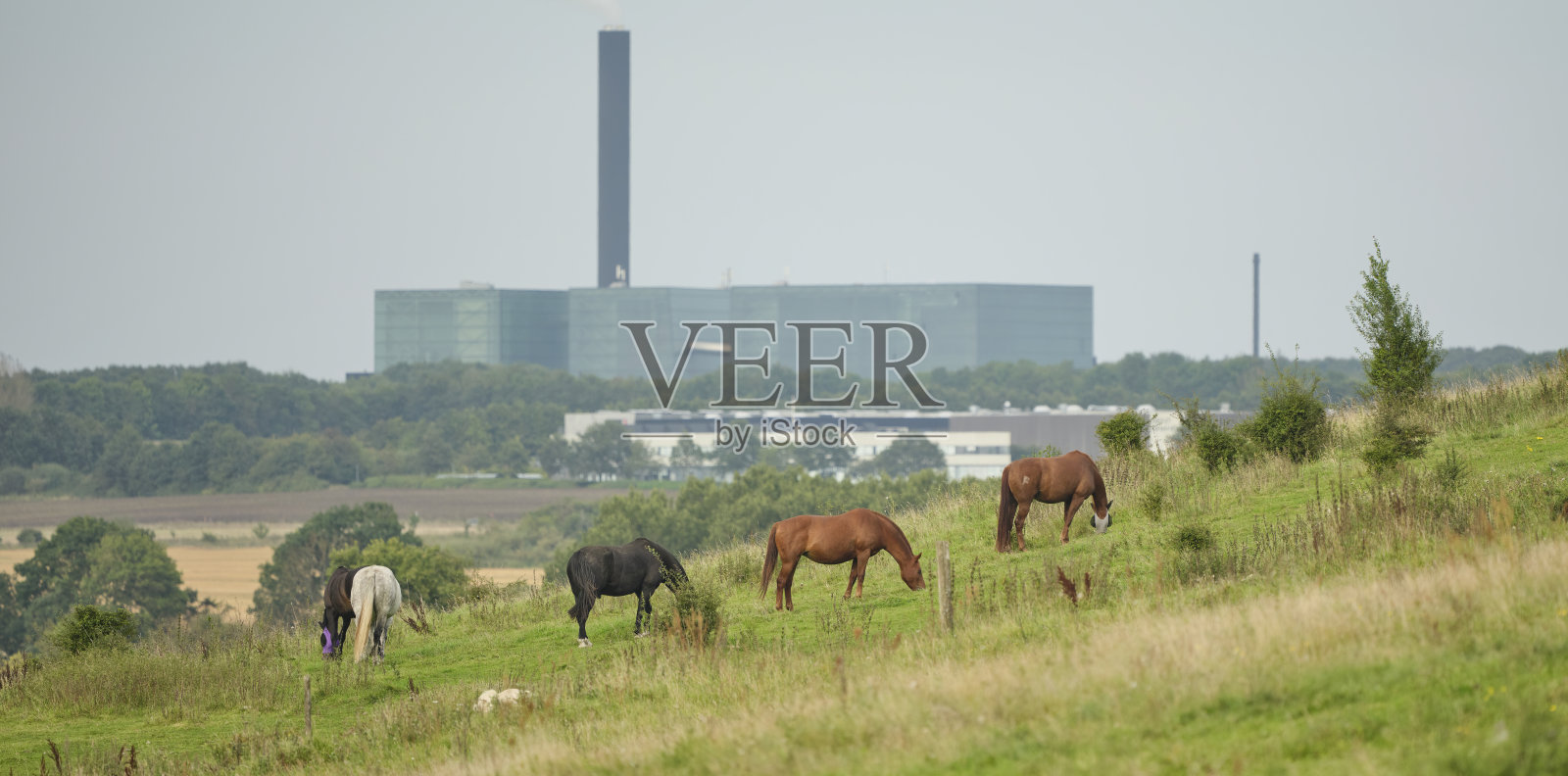 丰收的乡村照片摄影图片