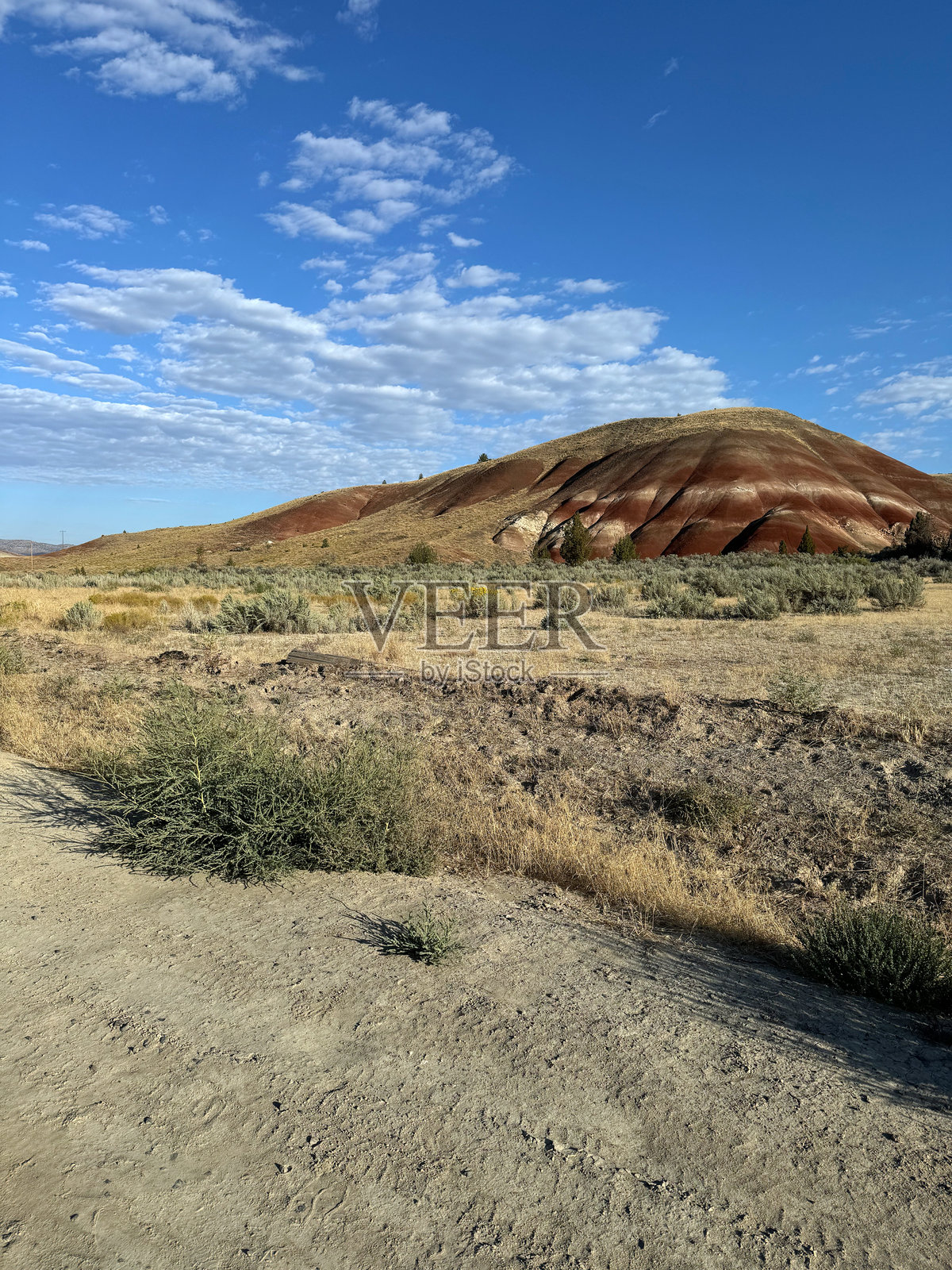 俄勒冈州的彩绘山丘照片摄影图片