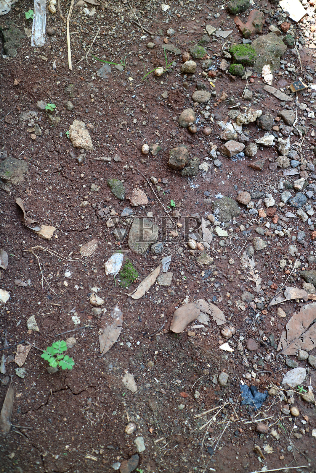 深棕色土壤质地，夹杂着许多石头和干枯的树叶，白天拍摄。照片摄影图片