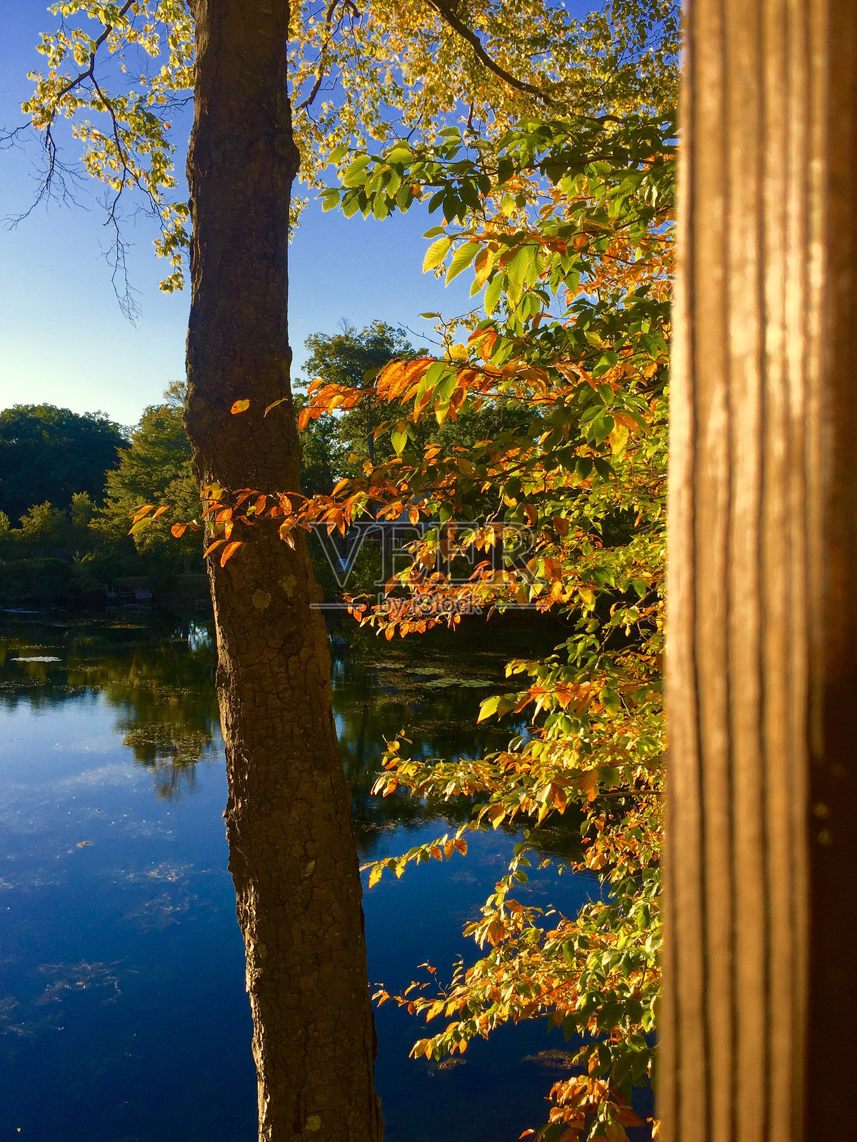 湖泊照片摄影图片