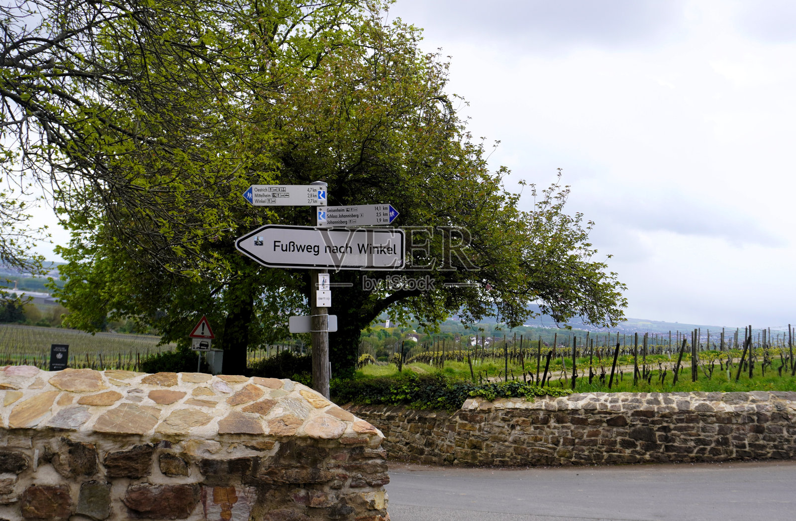 莱茵高地区的道路标识照片摄影图片
