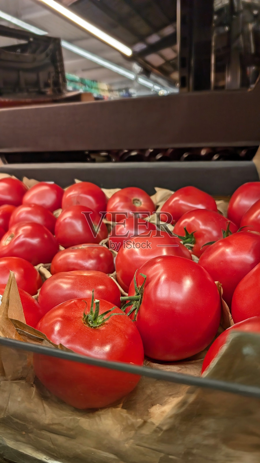 番茄照片摄影图片